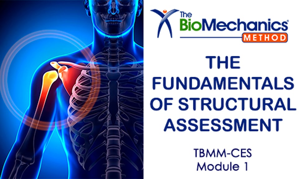 The Fundamentals Of Structural Assessment